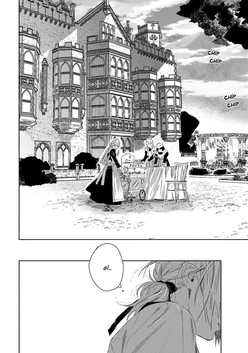 tình yêu hoa hồng dại chapter 2 12