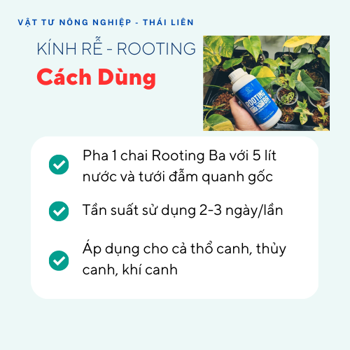 [Siêu kích rễ] Dung Dịch Kích Rễ ROOTING BA Dùng Cho Sen Đá, Kiểng Lá, Hoa Lan Và Cây Cảnh - Chai 500ml