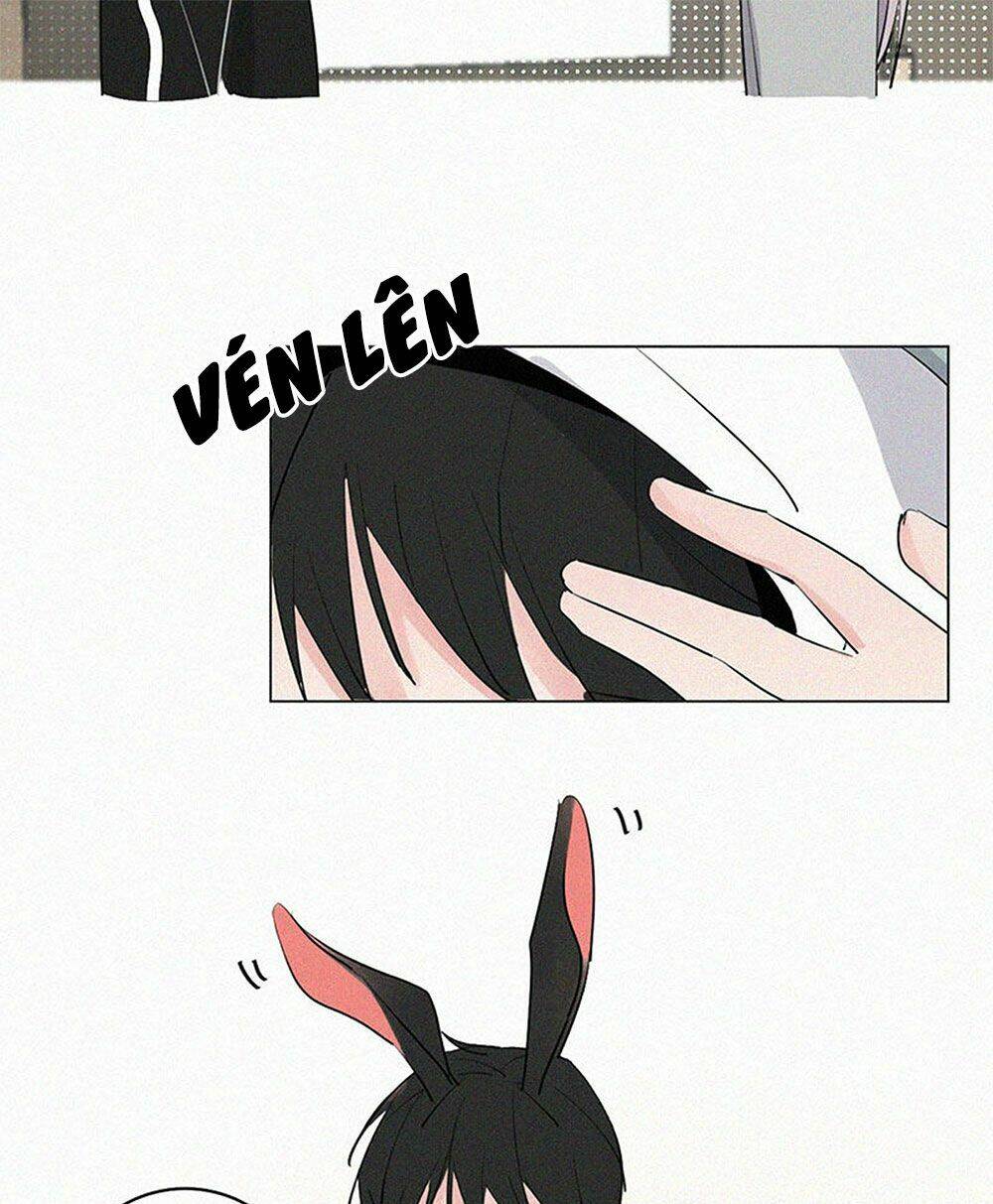 câu chuyện về cậu và tôi chapter 33.5 13