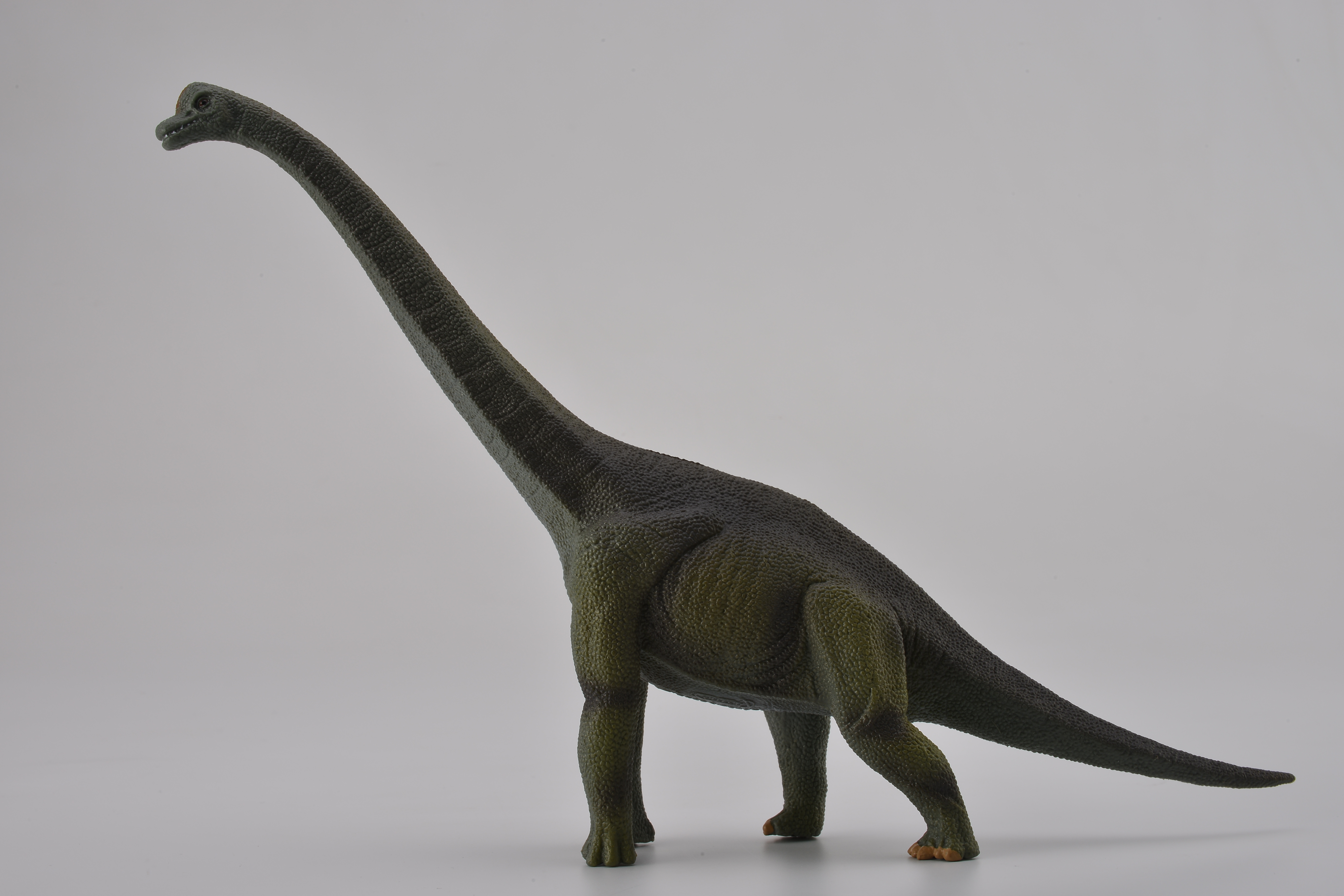 Mô hình thu nhỏ: Khủng Long Brachiosaurus  - Brachiosaurus, hiệu: CollectA, mã HS 9654120[88121] -  Chất liệu an toàn cho trẻ - Hàng chính hãng