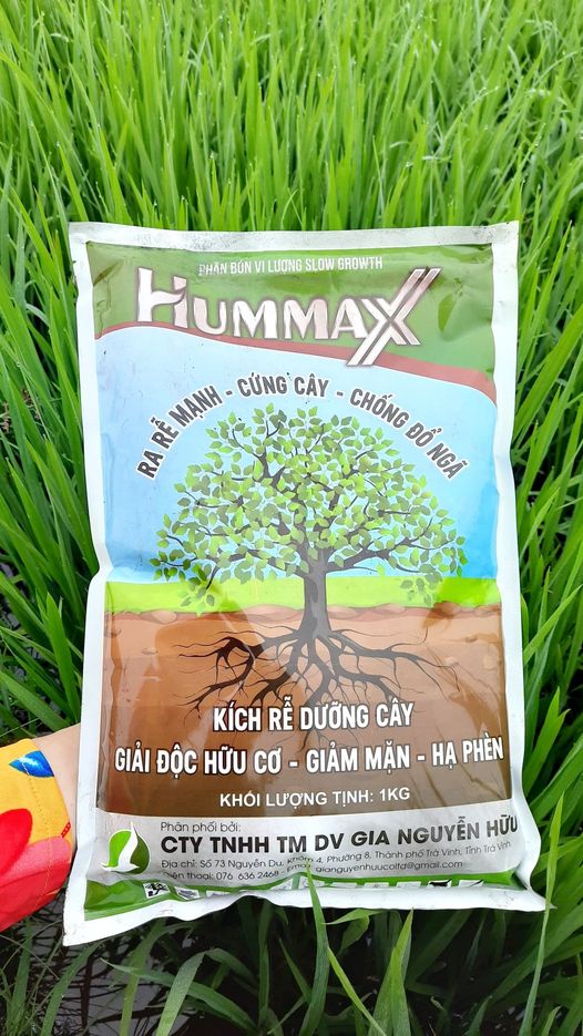 Phân bón lá HUMMAX - Giúp cây ra rễ nhanh, cứng chắc, ra đọt non mạnh