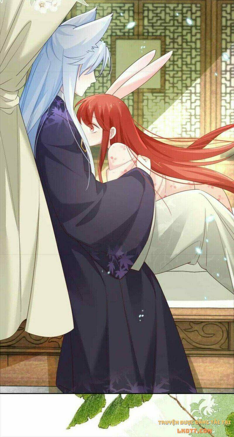 hắc hóa nam chính trực tuyến nuôi thỏ chapter 60 14