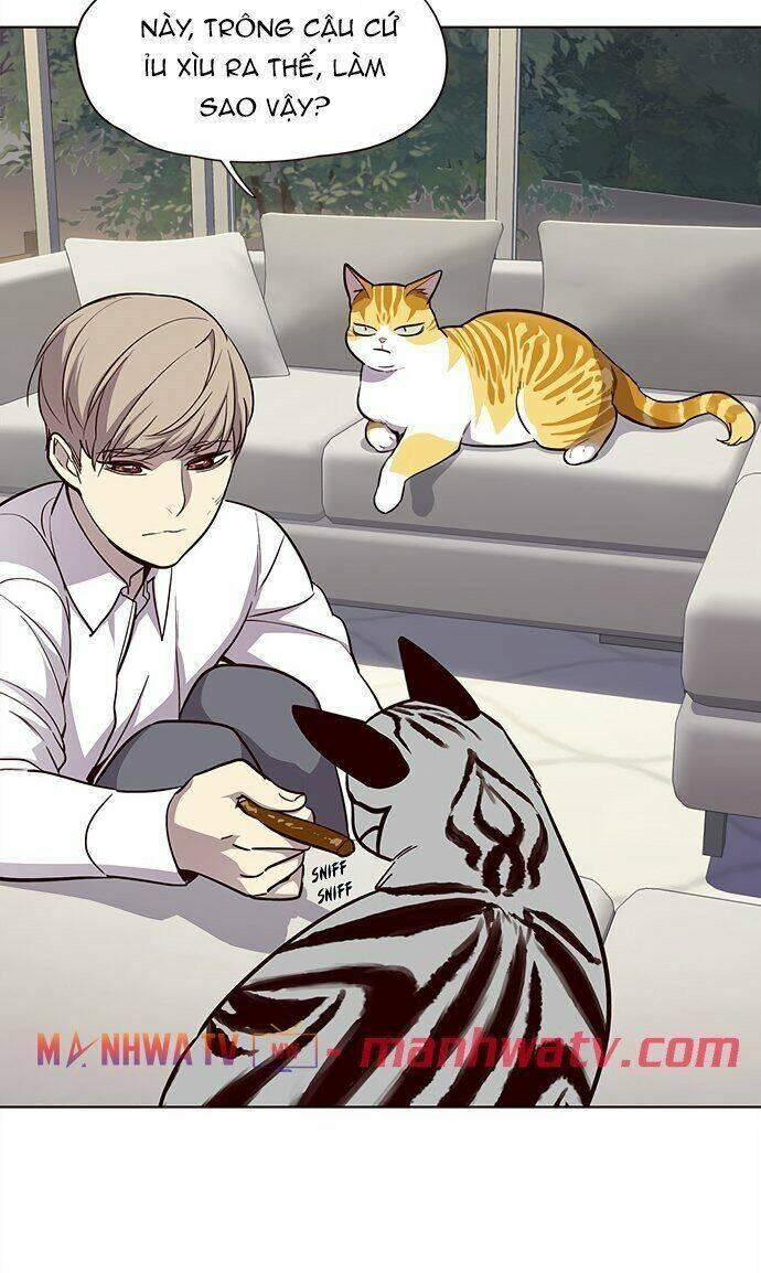 biến thân thành mèo chapter 21 25