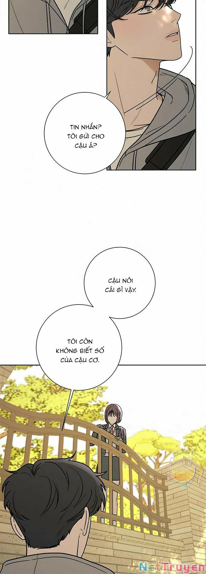 chiến lược: tình yêu trong sáng chapter 8 12