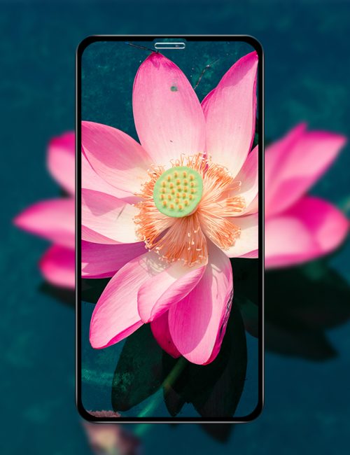 KÍNH CƯỜNG LỰC IPHONE CAO CẤP MIPOW KINGBULL 3D PREMIUM FOR IPHONE 11 PRO MAX - HÀNG CHÍNH HÃNG