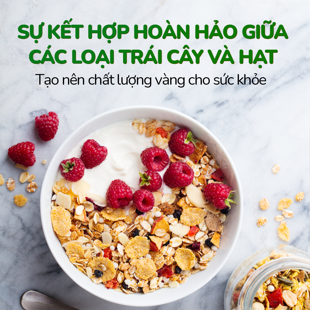 NGŨ CỐC ĂN KIÊNG GRANOLA 600GR TRÁI CÂY VÀ HẠT FRUITY BERRY