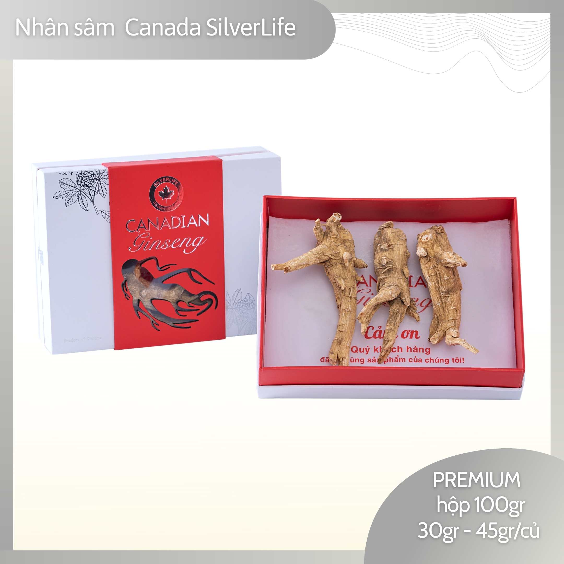 Nhân sâm Canada SilverLife Premium | Nhân Sâm Canada Khô Nguyên Củ | Loại to đặc biệt 5 năm tuổi