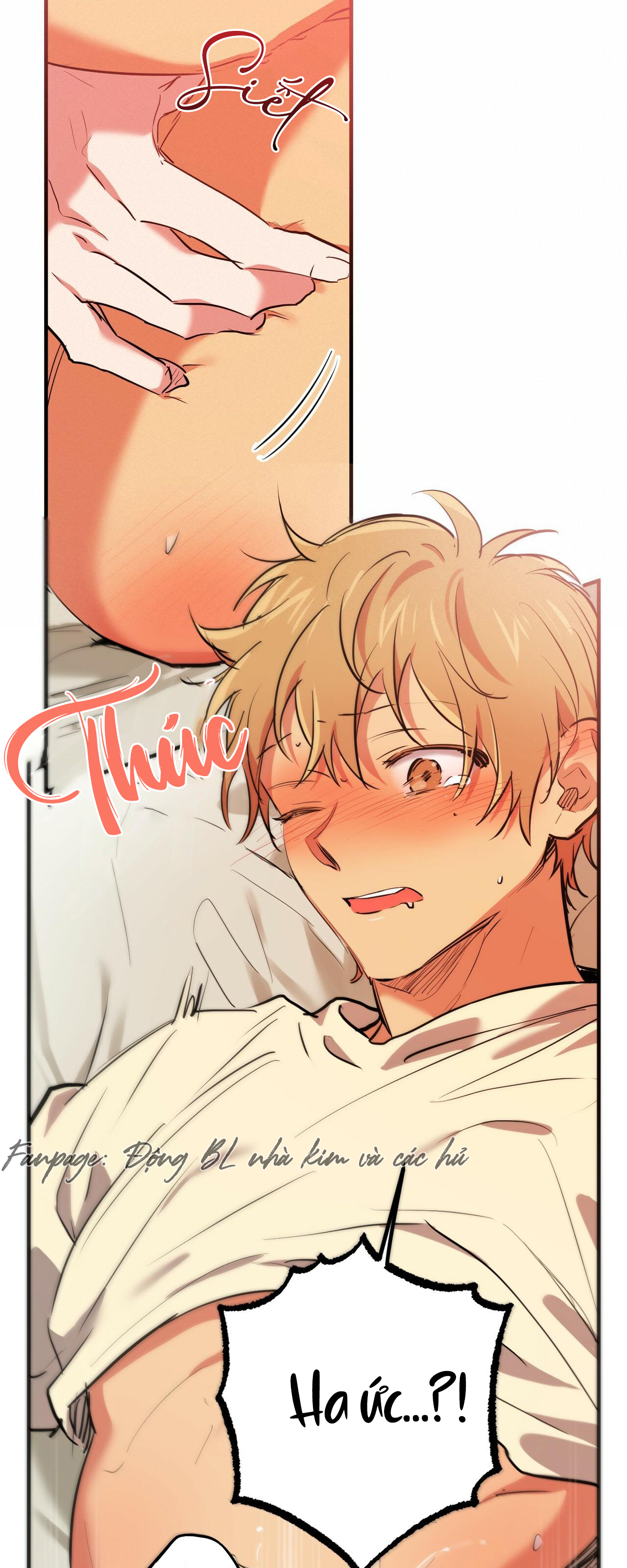 những chú thỏ của hapypy chapter 38 54