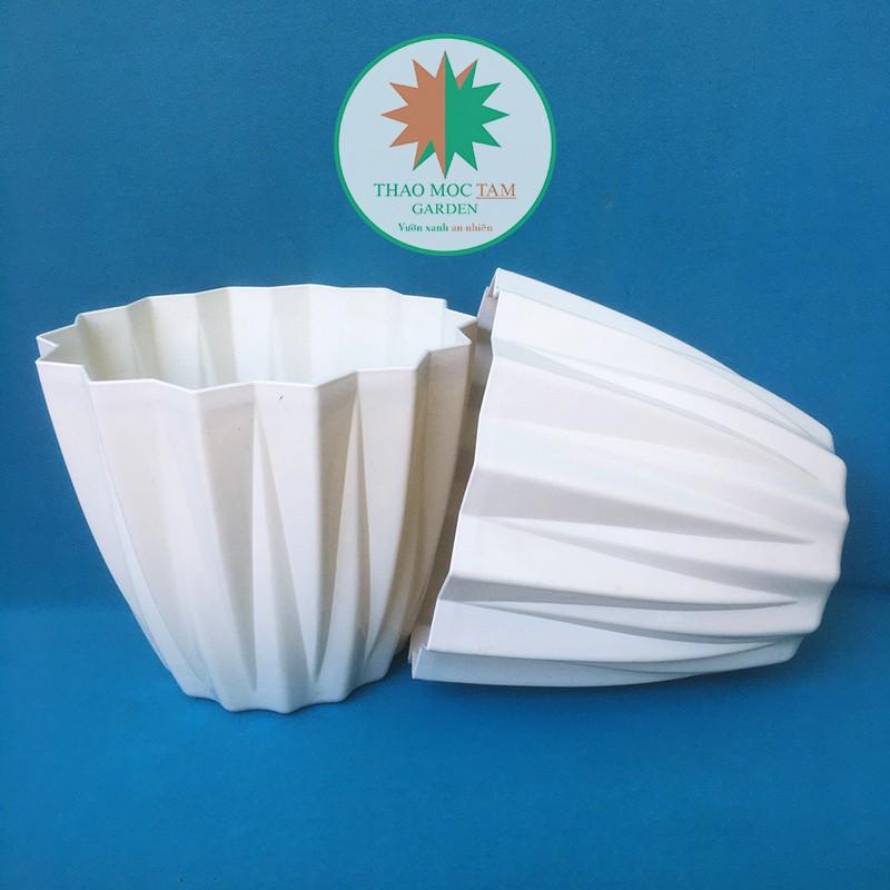Chậu Kim Cương 25x22cm cạnh khế – Chậu nhựa kim cương nhiều cạnh, trồng hoa, cây kiểng trang trí sang trọng