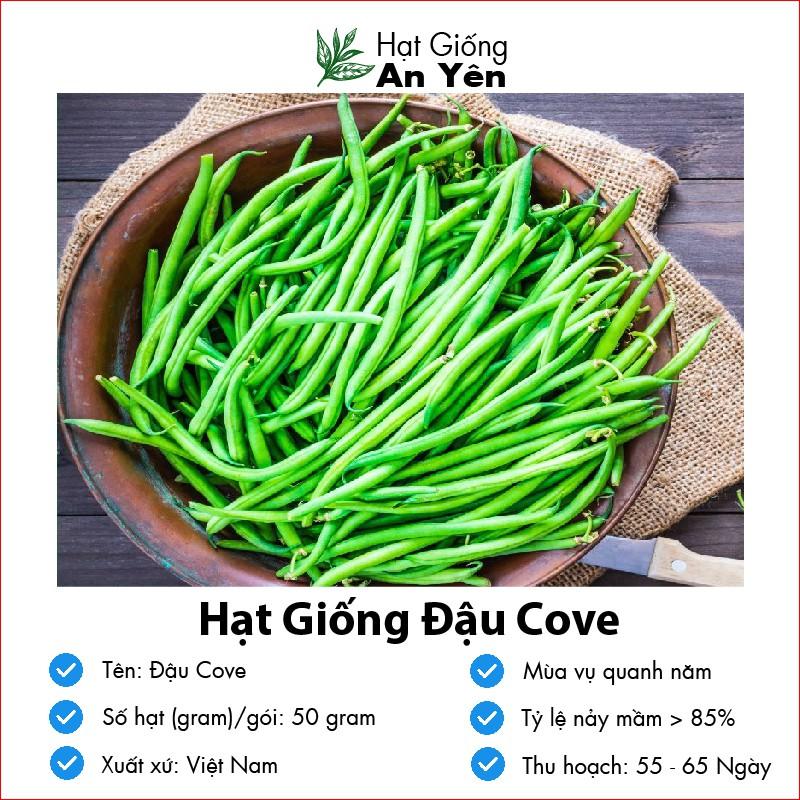 Hạt giống Đậu Cove F1 thu hoạch sớm, dễ trồng, nảy mầm cao, sinh trưởng khoẻ