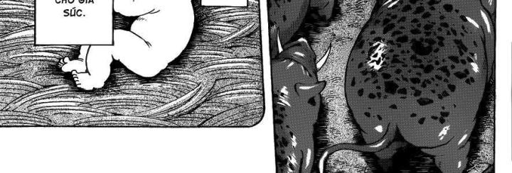 thánh tỏi sành ăn chapter 250 29