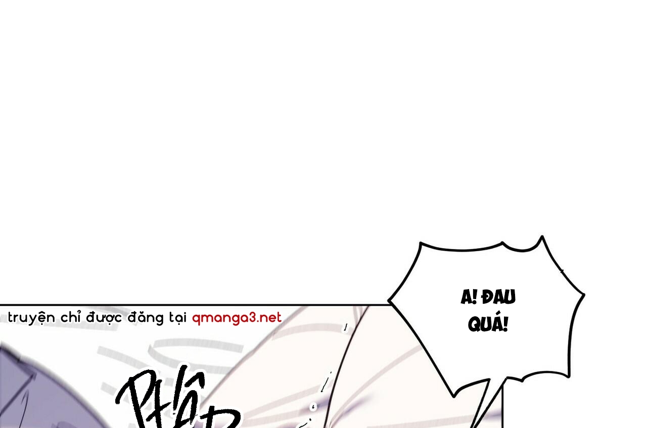 chàng dâu nhà họ kang chapter 28 81