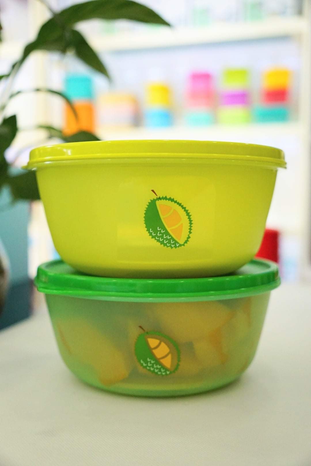 Hộp BQTP Durian Keeper (2 hộp) - Tupperware