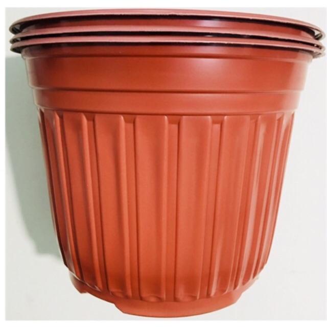 10 Chậu Nhựa Dẽo Vành Trồng Cây, Ươm Mầm, Ươm Cây