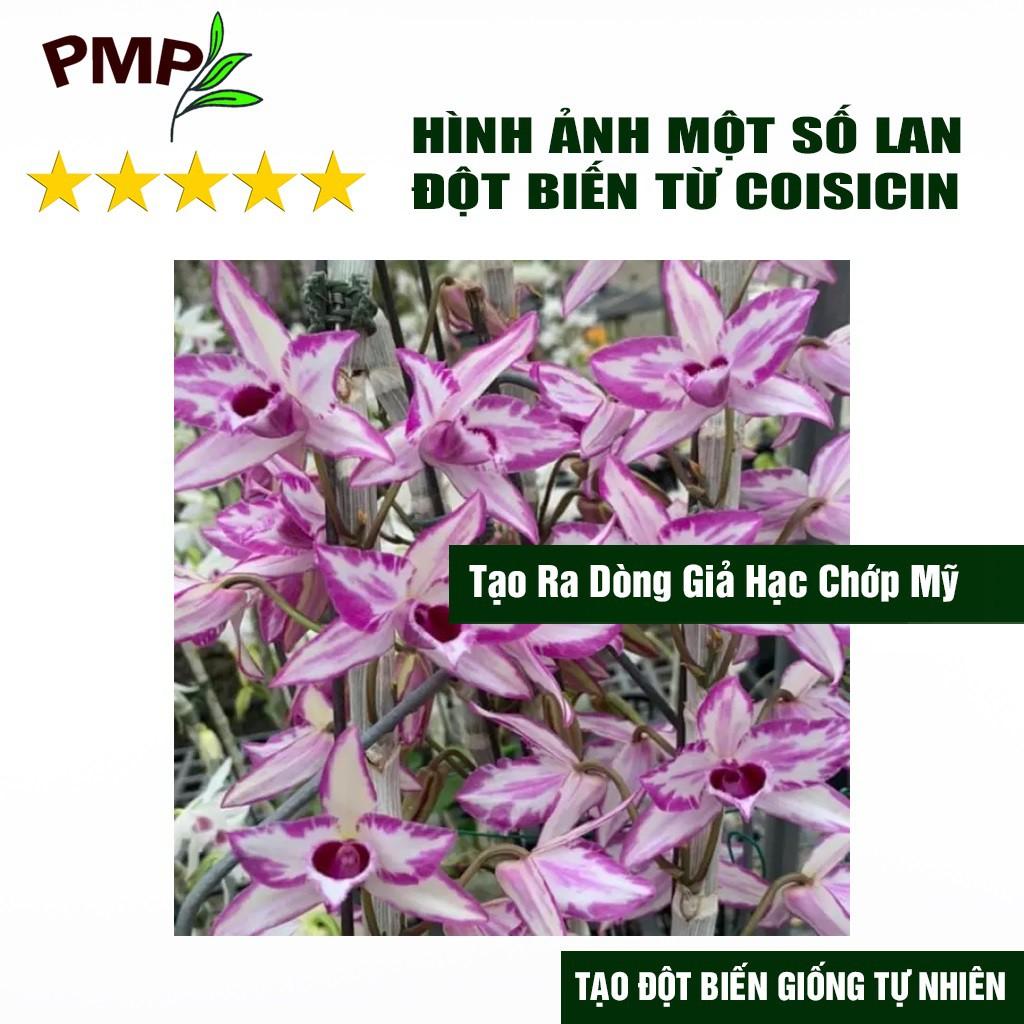 3 Gói Coisicin Gây Đột Biến Lan