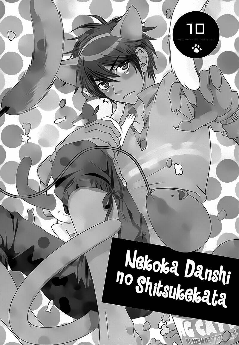 nekoka danshi no shitsukekata chapter 10 11