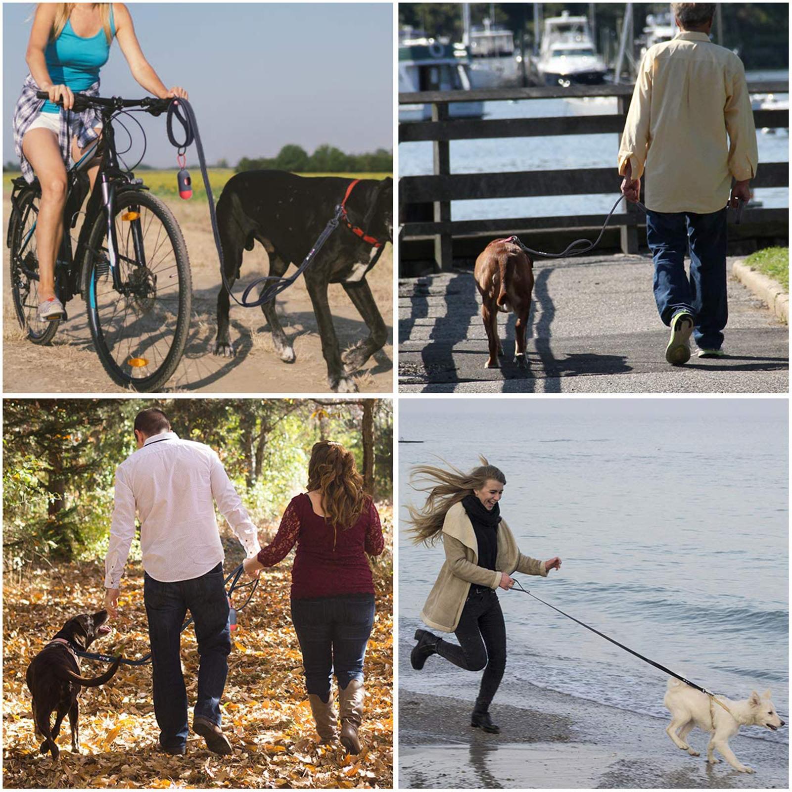 Dây xích thú cưng có phản quang có kèm theo túi đựng phân