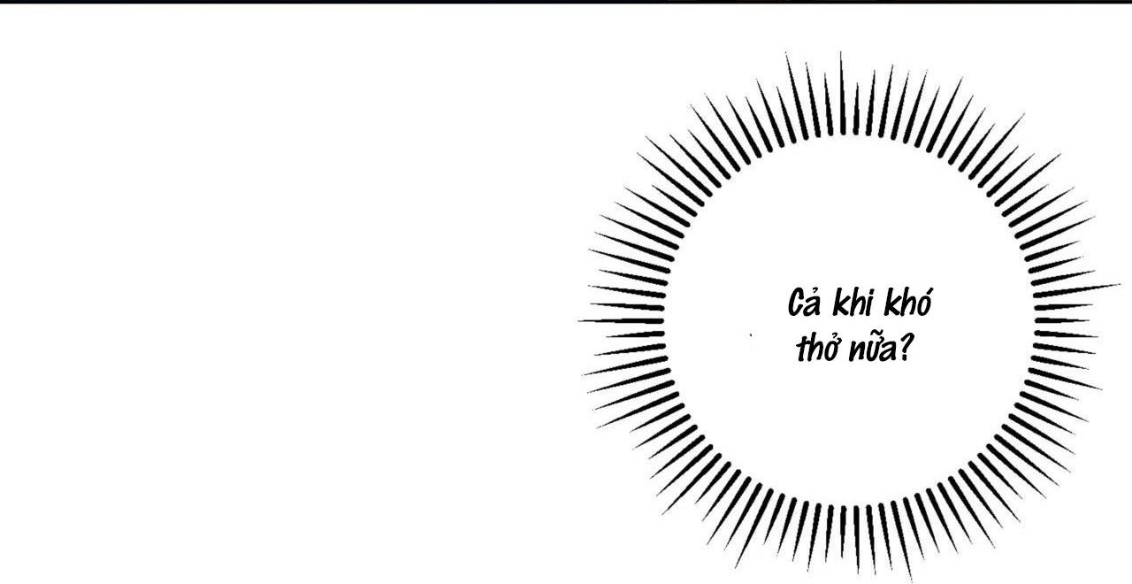 khu rừng tĩnh lặng chapter 11 77