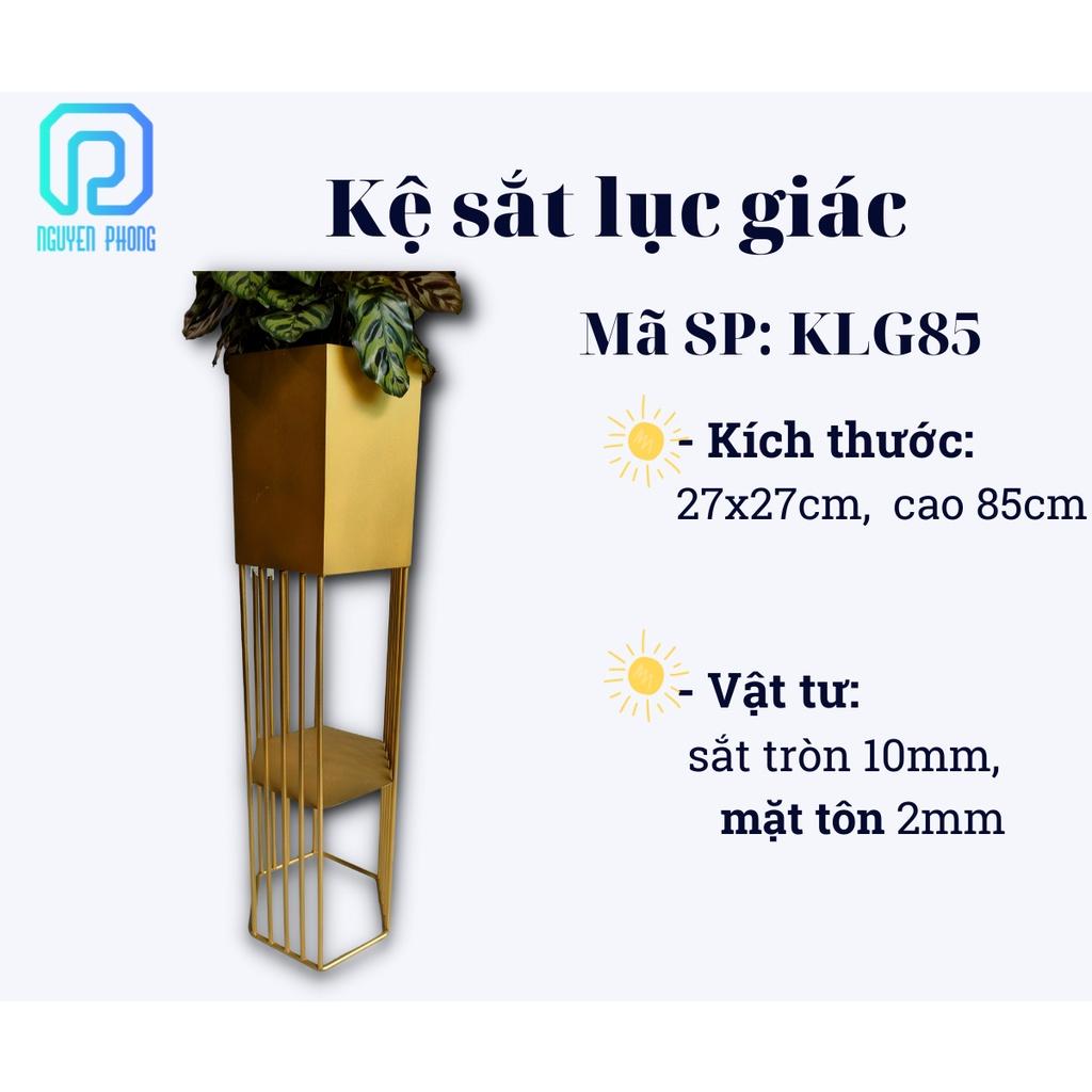 Kệ sắt trang trí, kệ lục giác, kệ để cây cảnh, chân sắt để chậu hoa trưng bày văn phòng, trang trí sảnh đẹp sang trọng