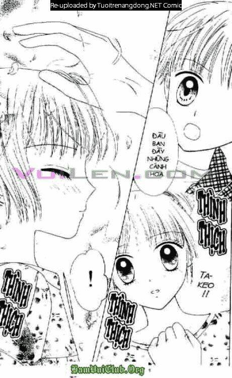 cánh thiên nga chapter 7 117