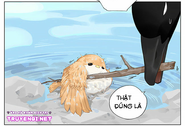 sẻ chiếu mới và nhạn phong sương chapter 8 7