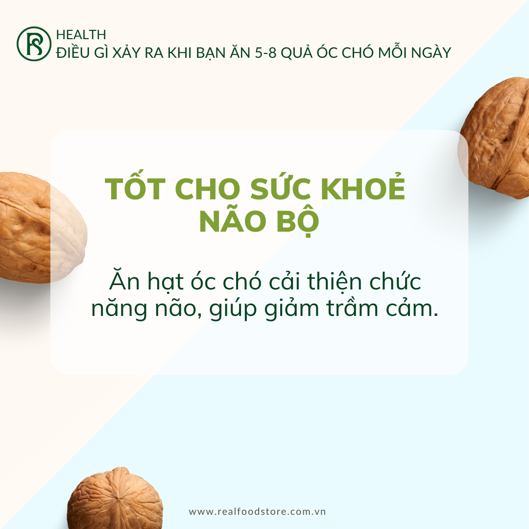 Hạt Óc Chó Nguyên Vỏ Nhập Khẩu Real Food