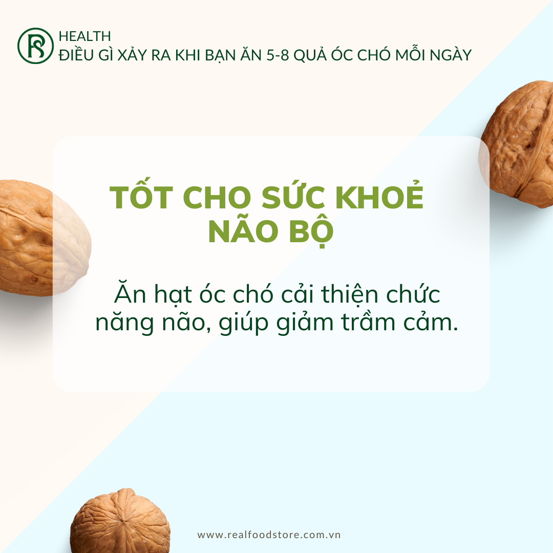 [COMBO] Hạt Óc Chó Nguyên Vỏ Nhập Khẩu Real Food