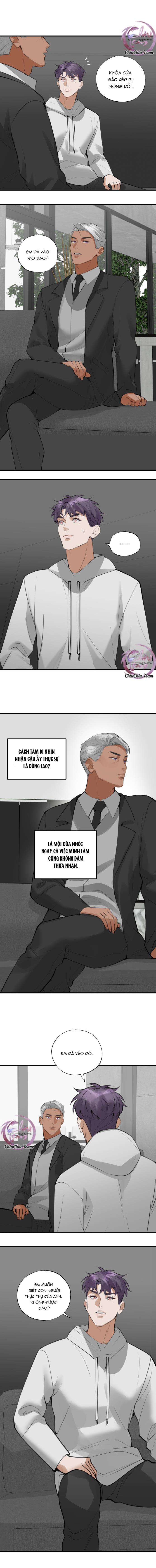 lặng lẽ ngắm nhìn em chapter 24 11