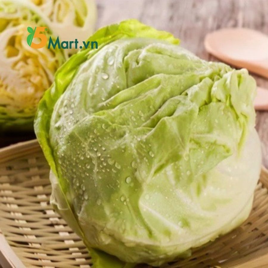 Bắp Cải