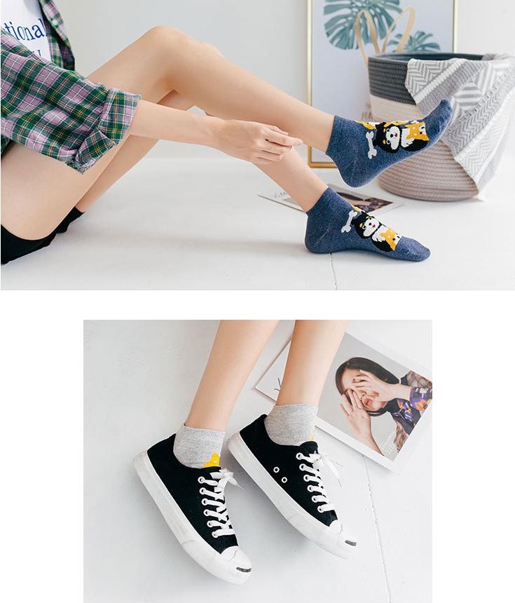 Combo 5 Đôi Vớ Chú Chó Chiba Xinh Xắn CT-5B