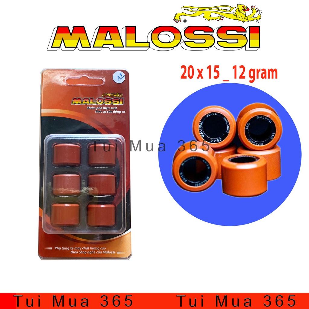 Bi nồi Malossi Độ Honda Vario, AB125, PCX, SHVN, SH Ý, Click 125, SH Mode