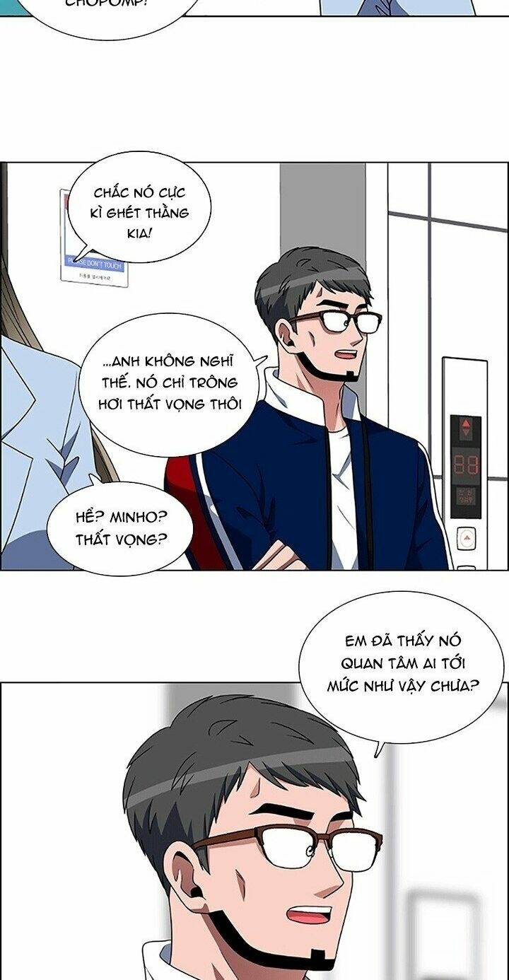 no scope chapter 64 41