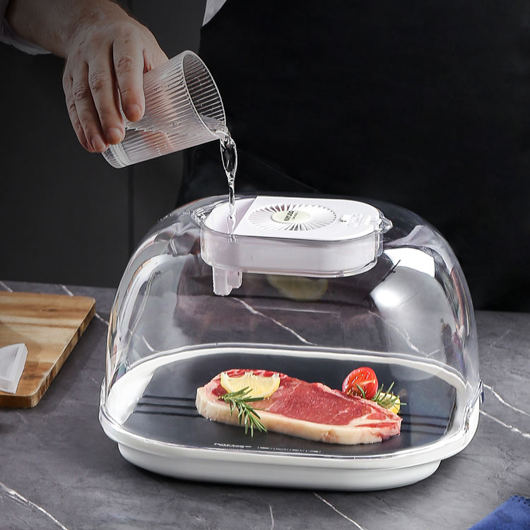 Khay rã đông cấp tốc 360 Kayuso JY210801 Công Nghệ Ion An Toàn Cho Thực Phẩm Defrosting Tray for Froze