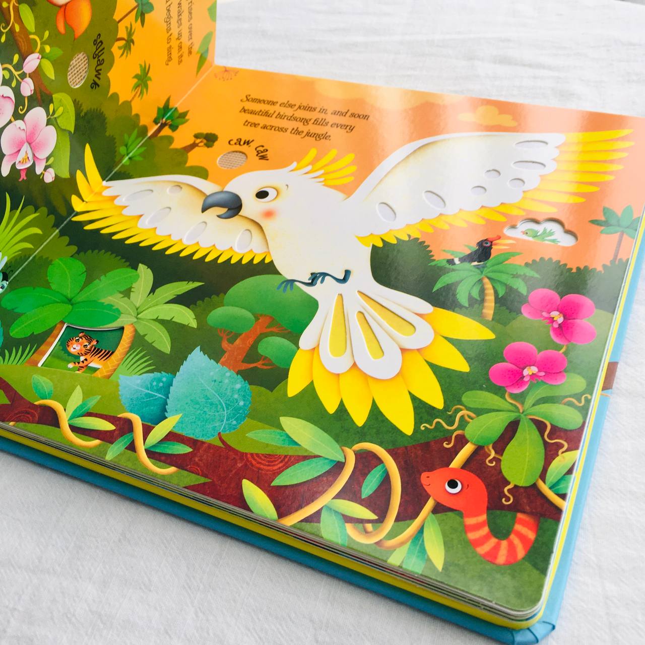 Usborne Jungle Sounds