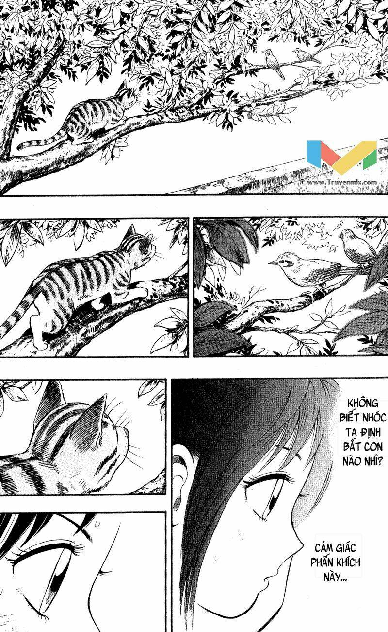 animal sense chapter 1 14