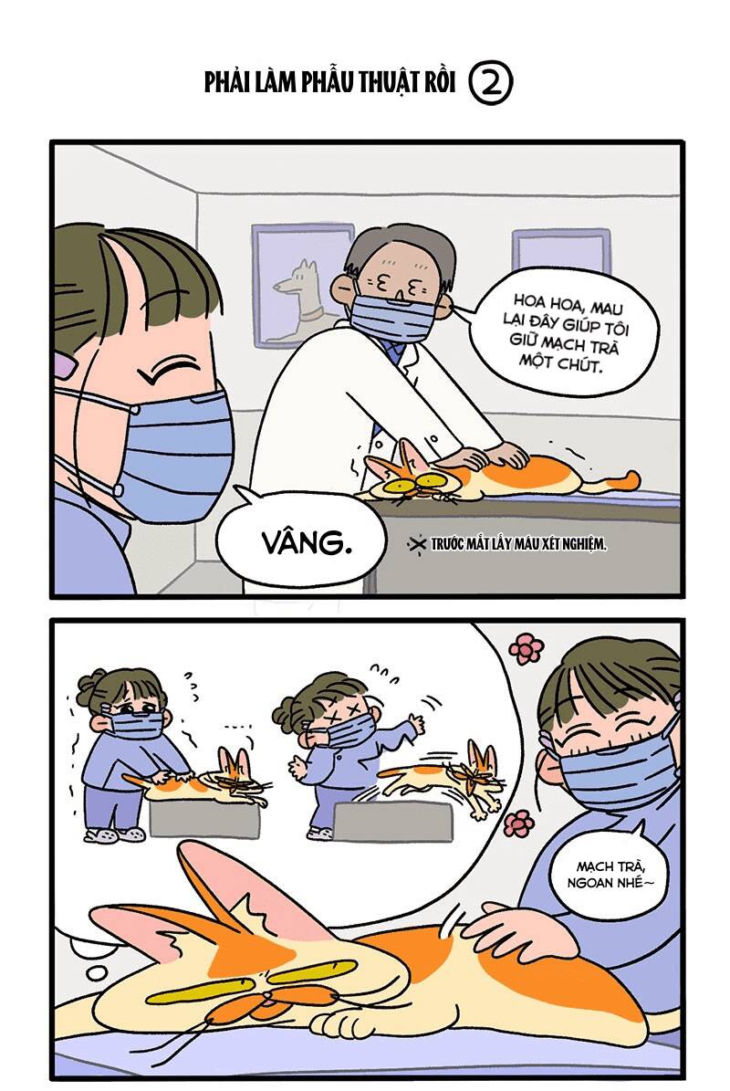 a mãn và mạch trà chapter 13 3