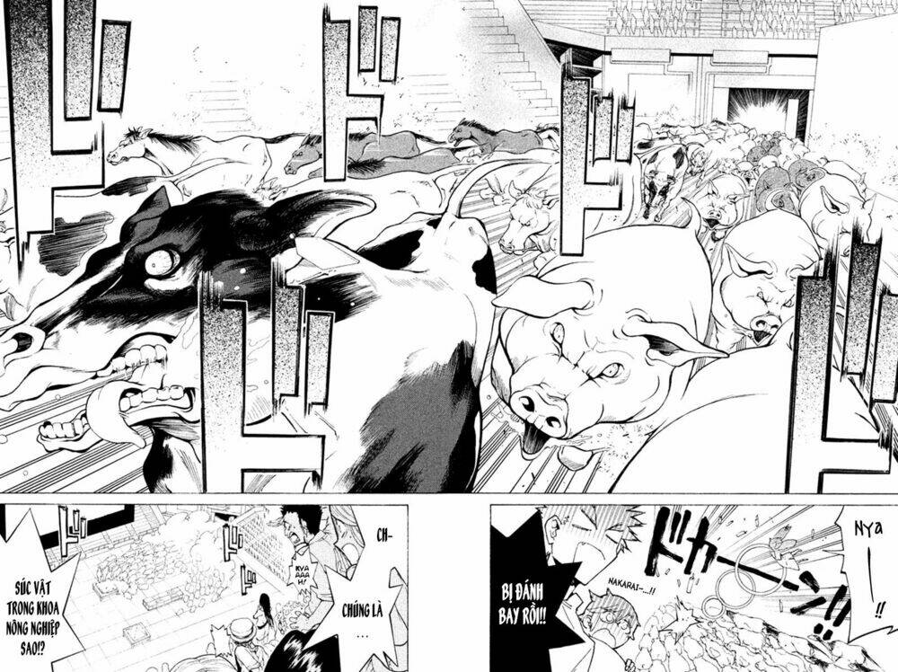 hell’s kitchen chapter 33 38