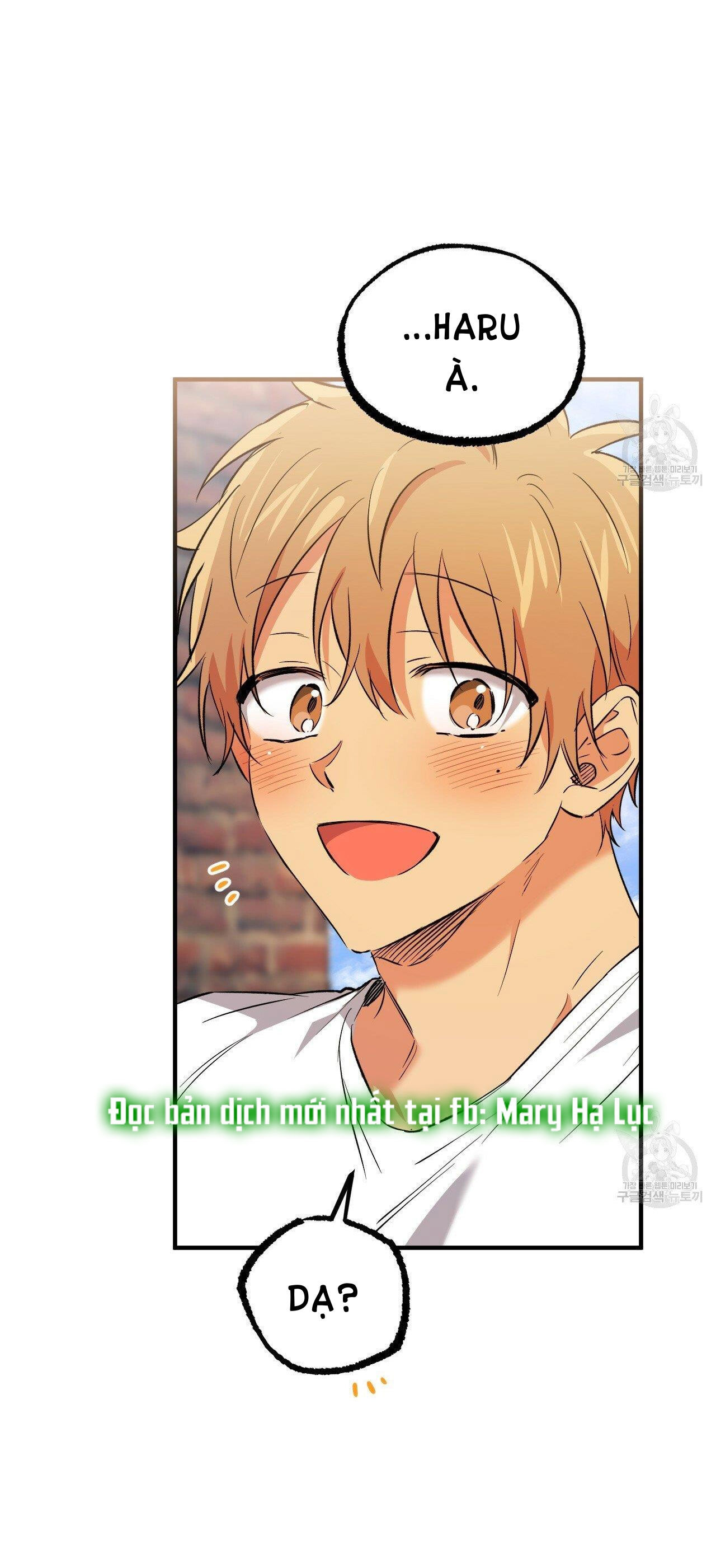 những chú thỏ của hapypy chapter 53.1 15