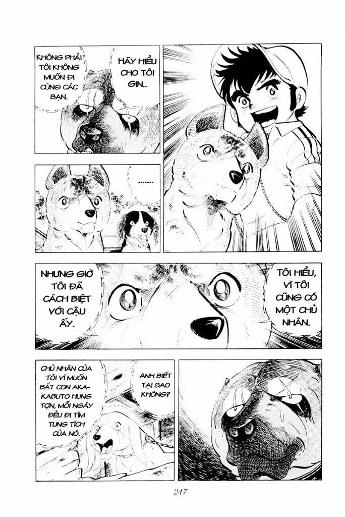 chú chó có nghĩa - ginga nagareboshi gin chapter 30.1 5