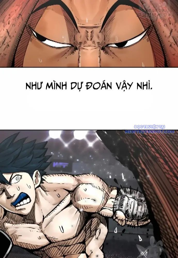 shark - cá mập chapter 277 34