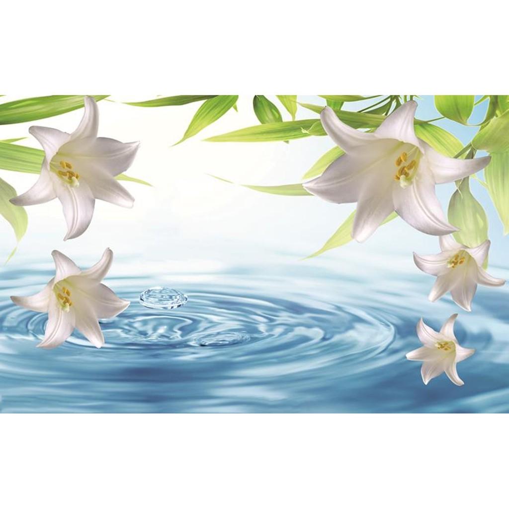 Tranh dán tường 3d hiện đại, hoa lily thanh tịnh