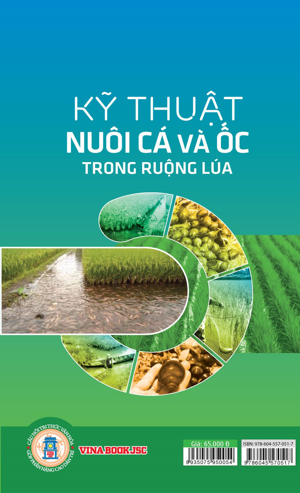 Kỹ Thuật Nuôi Cá Và Ốc Trong Ruộng Lúa