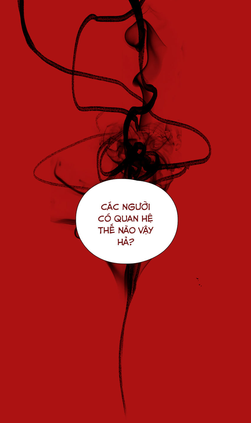 thú cưng của tôi là dơi chapter 50 33