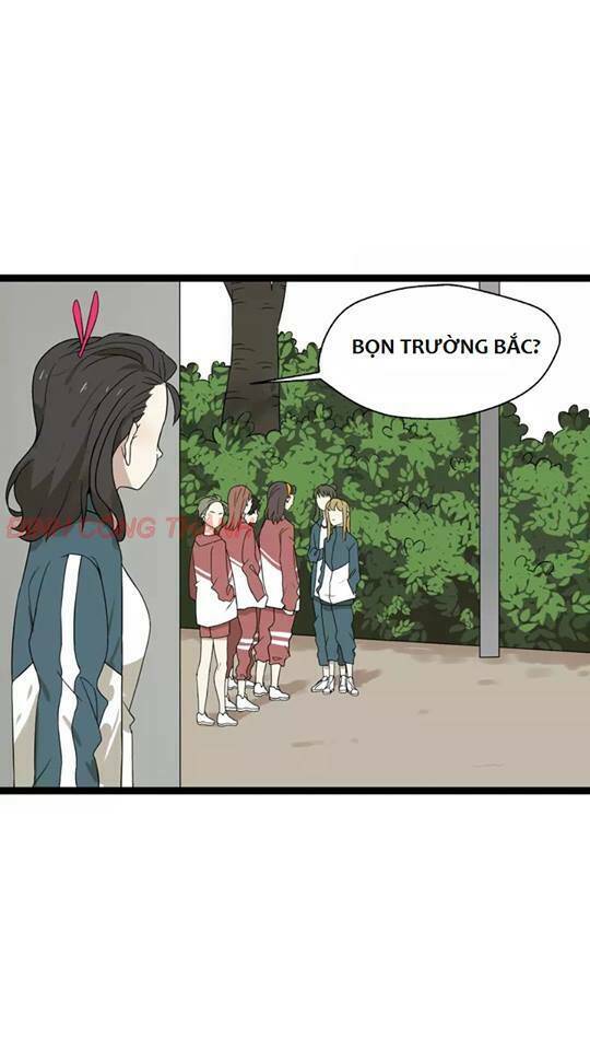 mục vụ chapter 8 24