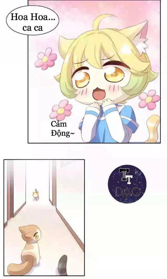 thị hoang chi thần chapter 11 37