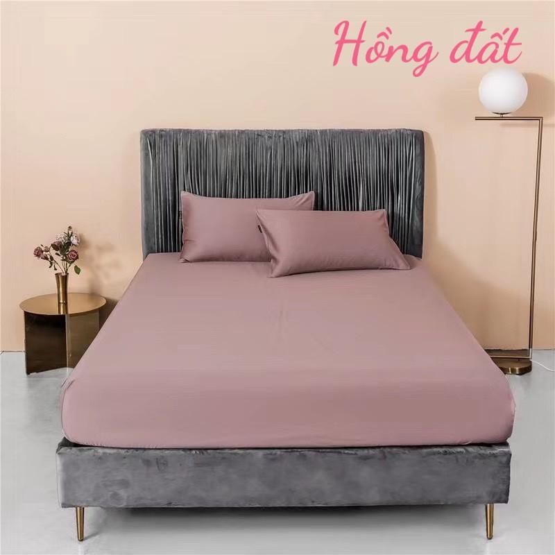 Ga Gối Lụa Tencel - Cotton 60s Với 17 Tông Màu Basic Hot Nhất 2020