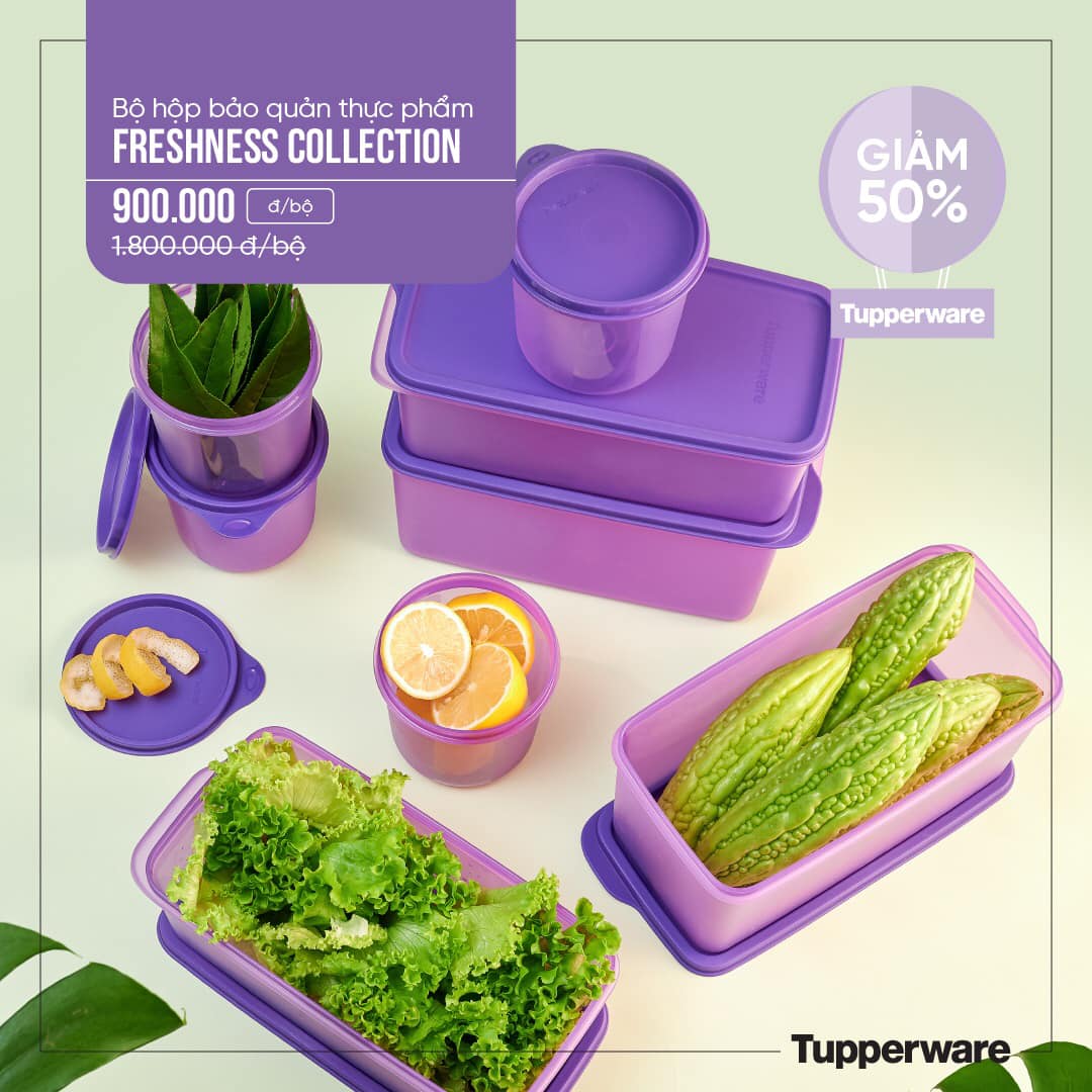 Bộ hộp BQTP Freshness Collection TUPPERWARE HÀNG CHÍNH HÃNG
