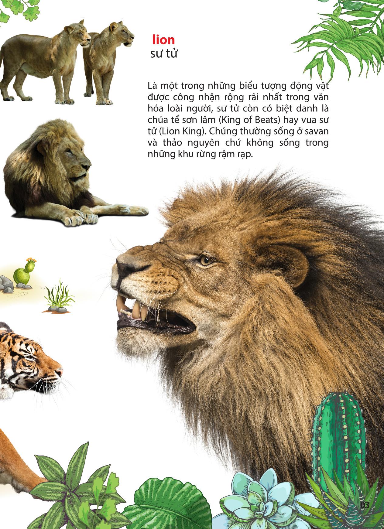 Thế Giới Động Vật Ở Vườn Thú Châu Phi