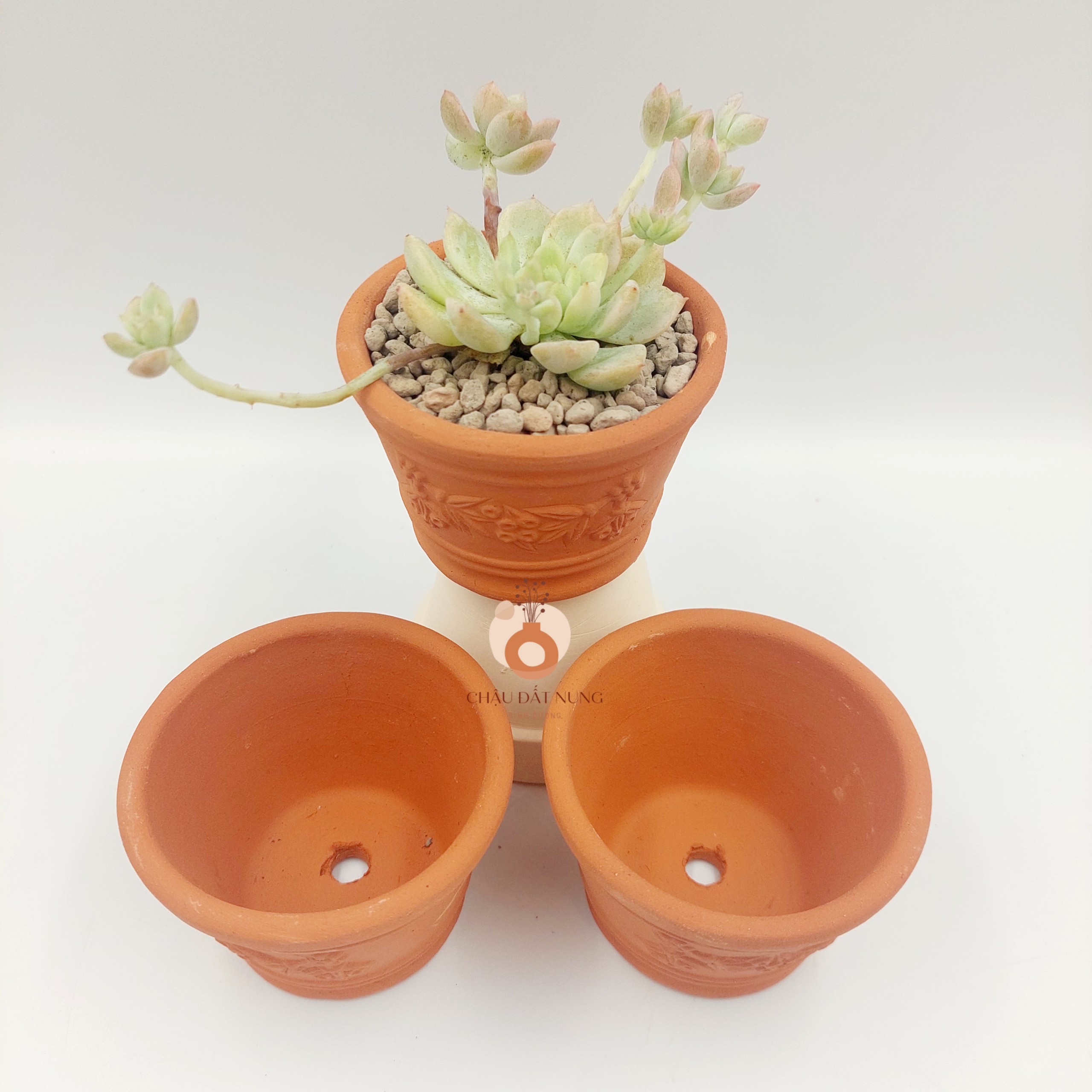 Chậu đất nung, chậu sen đá - Ly dây chùm nho 755, miệng chậu 7.5cm, chiều cao 5cm