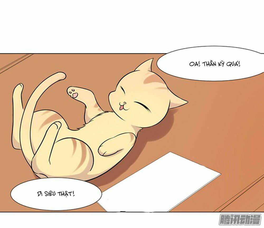 hai chú mèo totem chapter 39 13